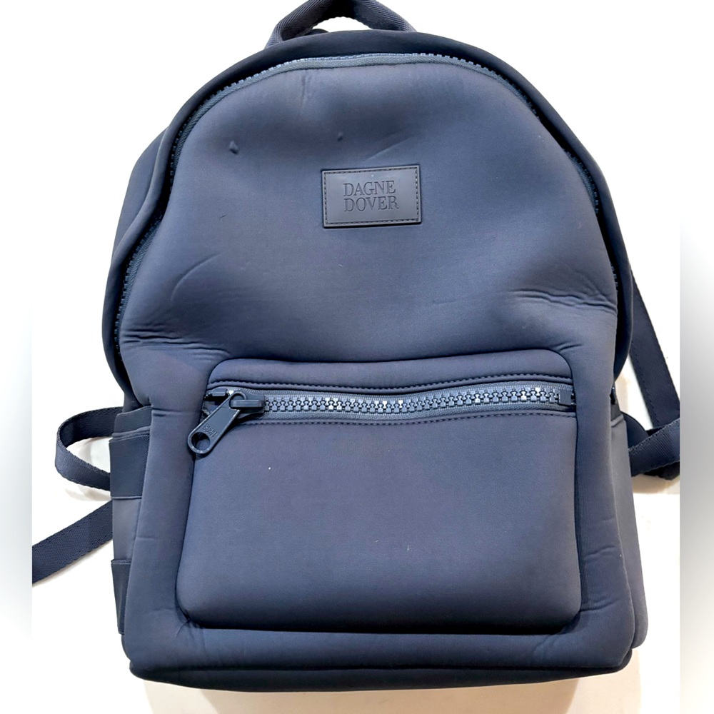 Dagne Dover Dakota like-new backpack